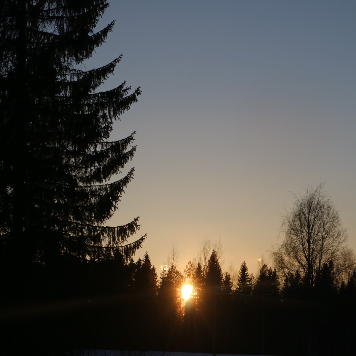 The sunset season has finally begun and I love it! 🌅❤️ #ilovesunset #watchingthesunset #sunsetview #atsunset #sunset #sungoesdown #auringonlasku #luonto #nature #spring #kevät #finland #april #huhtikuu #tiistai #Tuesday #evening