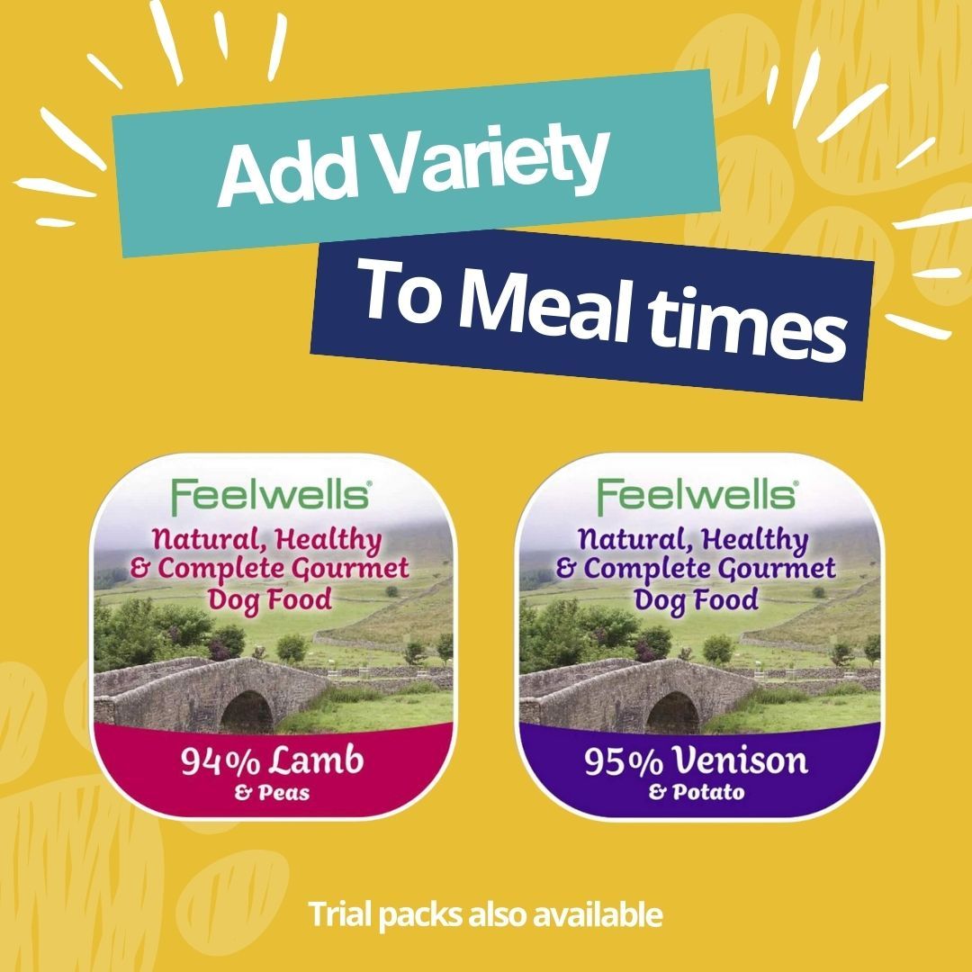 Fancy mixing it up? 🥳 We make it easy with our variety packs! With a spilt of two flavours your dog can enjoy a delicious mixture of meaty goodness. Perfect to be used as a topper or on a Lickimat 🐶 Shop now: buff.ly/46OPRgg #Feelwells #Dogfood #Natural #Grainfree