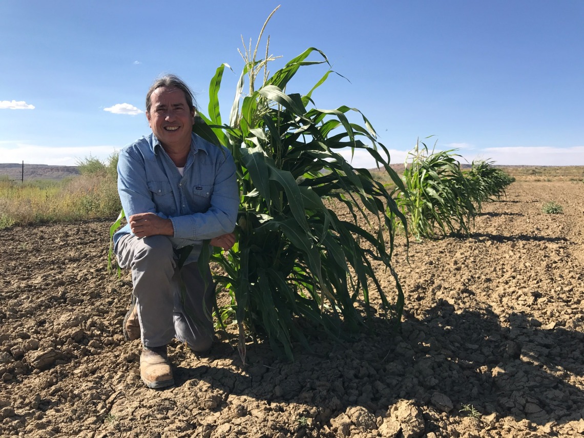 Extended drought and underfunding for agricultural infrastructure threaten Indigenous crop diversity. Fueled by a grant from @FoundationFAR, @kotutwa aims to tackle these challenges by studying innovative water conservation methods for farming. Read more: tinyurl.com/yc4atjsv