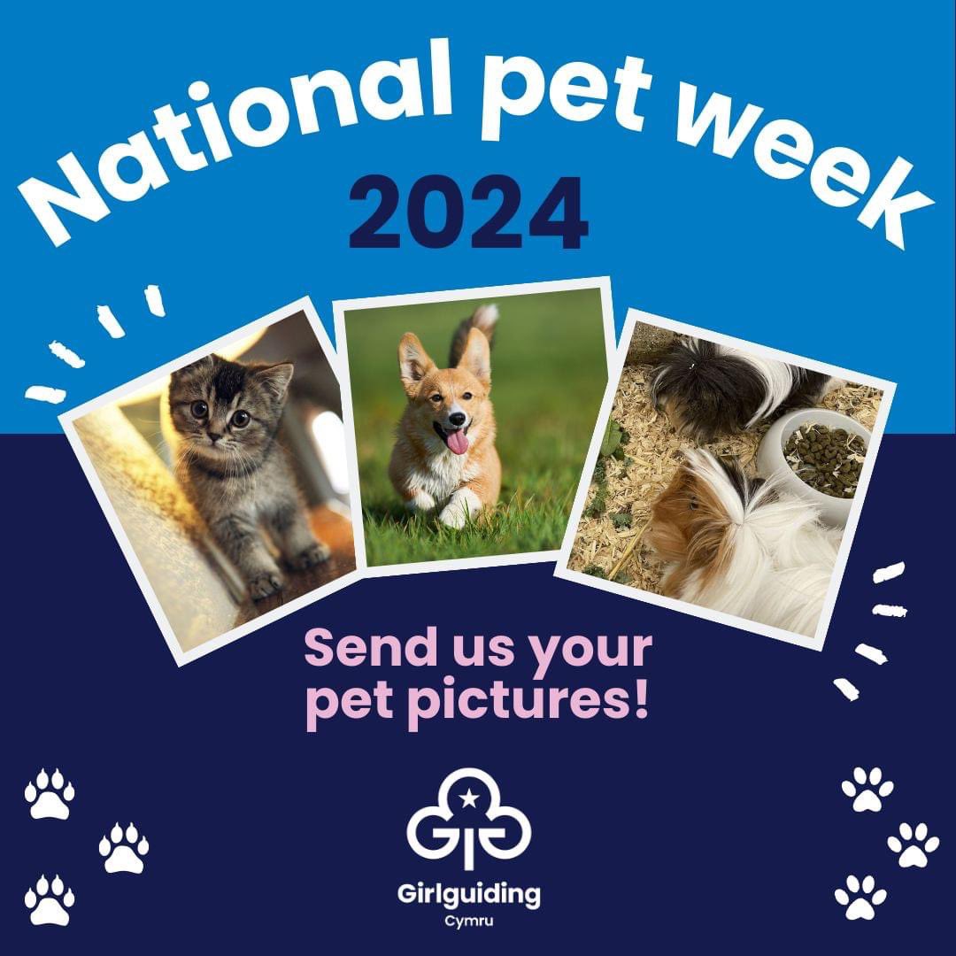🐾🌟 Attention Girlguiding Cymru Paw-rents, it’s National pet week and we want photos of your pets! 🐾 Share your photo here: form.jotform.com/GirlguidingCym… Entries must be in by 10pm on Thursday 11 April, 🕙 We welcome entries from parents, Rangers and leaders. #NationalPetWeek 🐾