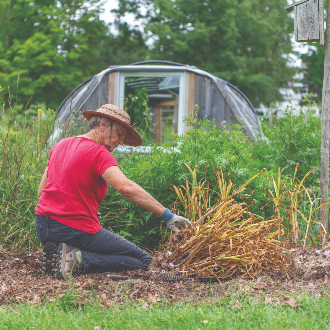We're excited to announce that for this year's (603) Challenge, Branch Hill Farm has stepped forward with generous support! Help us reach 500 donors (or more!) to unlock an additional $10,000 in funds. 🔓 Support our volunteers and programs.💙#UNH603 givecampus.com/i2z3lx