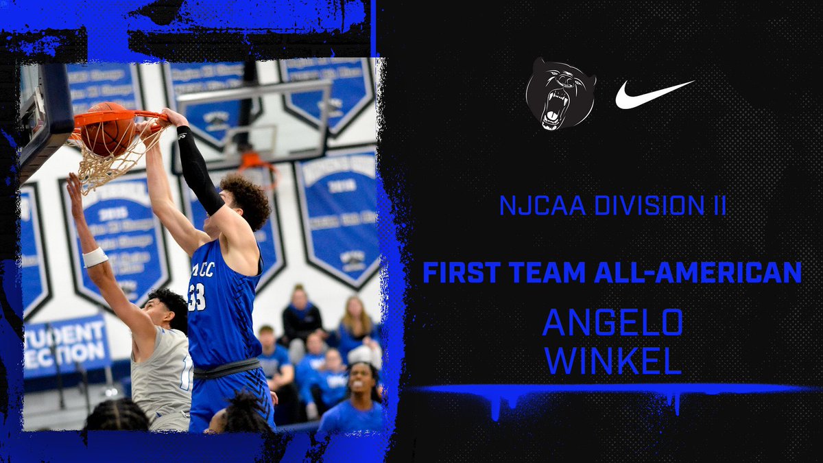 DMACC_MBB's tweet photo. We want to congratulate Angelo Winkel on being named a NJCAA Division II First Team All-American! https://t.co/wkgiz9D953