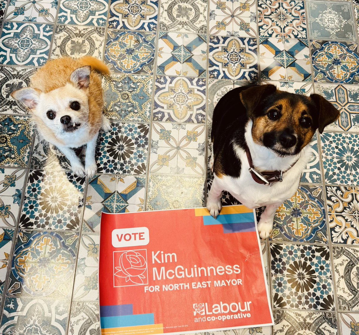 Mindy and Pearl been out supporting @KiMcGuinness and posing for a shoot before getting all wet 💦💦#VoteLabour 🌹🌹🌹 @NlandLabour