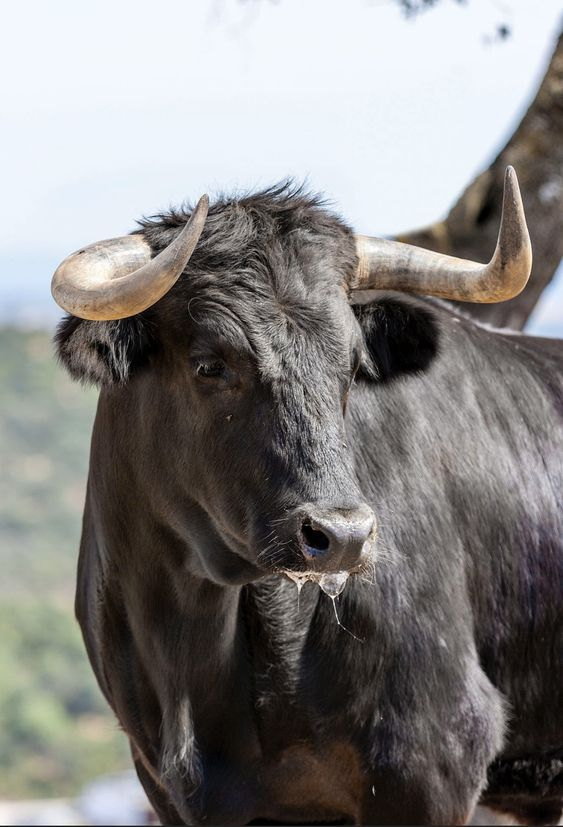 torosfinance's tweet photo. Face reveal. https://t.co/15yPa6A4S4
