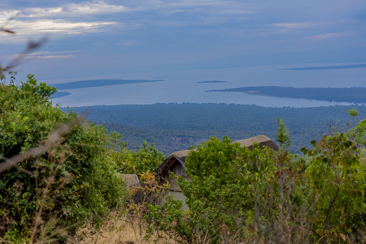 Enjoy beautiful views of Akagera National Park and Lake Ihema from the comfort of your room.

#AkageraRhinoLodge | #AkageraNationalPark | #VisitRwanda