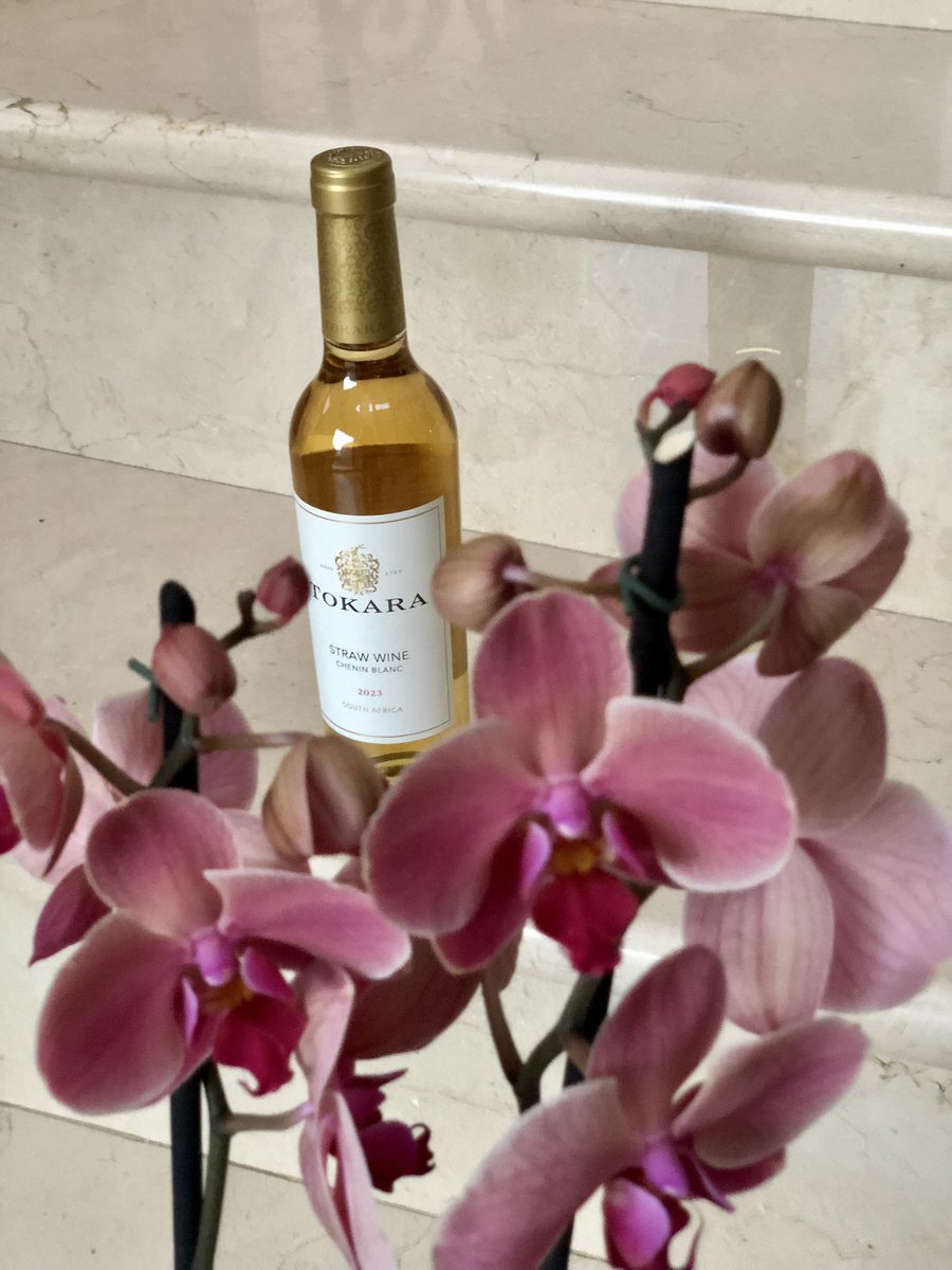 TsepangMolisana's tweet image. Tokara celebrates 25 golden years with a luxurious straw wine made from Chenin Blanc grapes

Winemaker @wine_stuart adds his Midas touch with a sweet wine that moves mountains. @TokaraWine Straw Wine 2023 is made from a @CheninBlancSA parcel on the @StellWineRoute estate

#Tokara