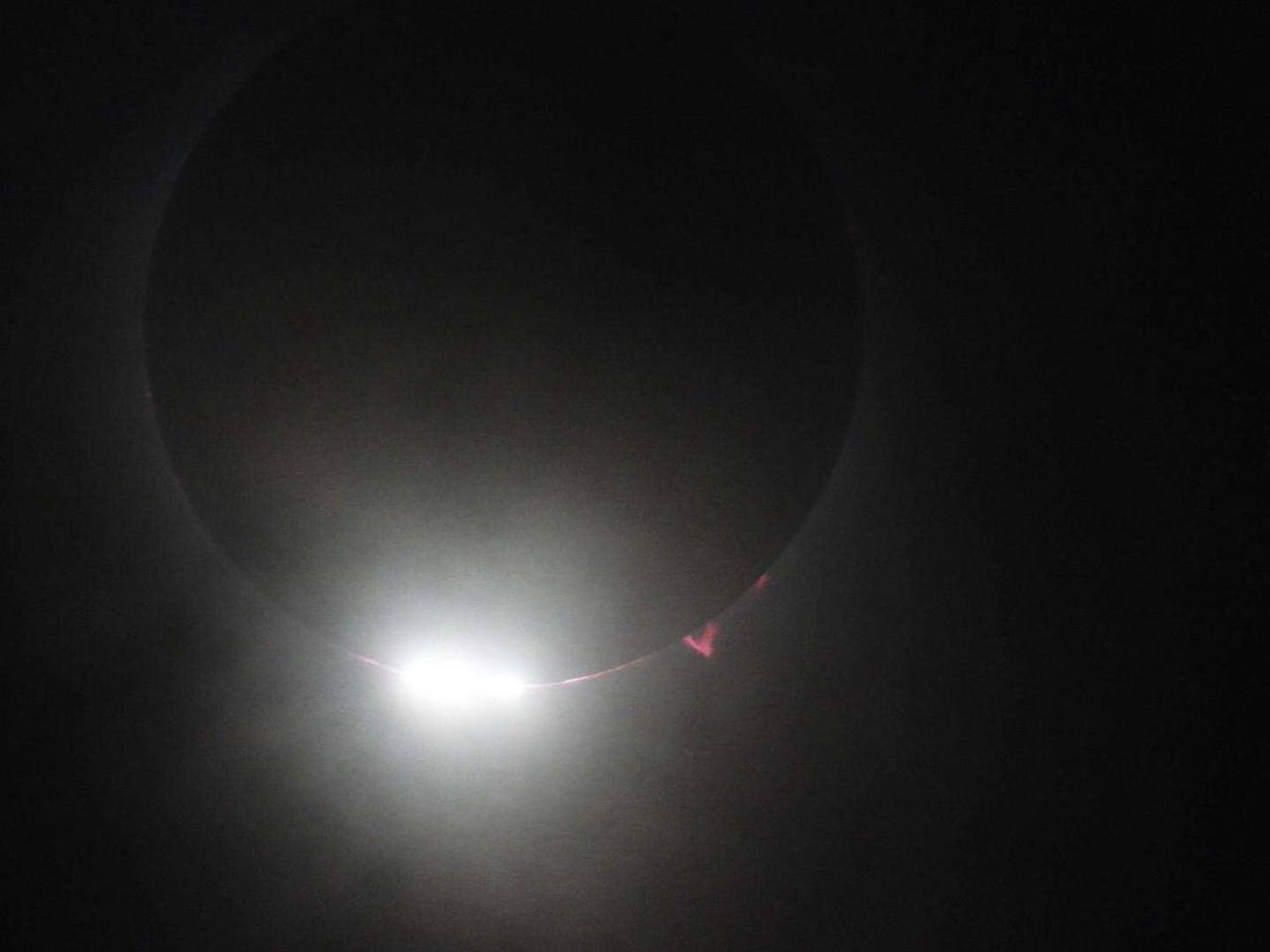 Eggschain tweet media