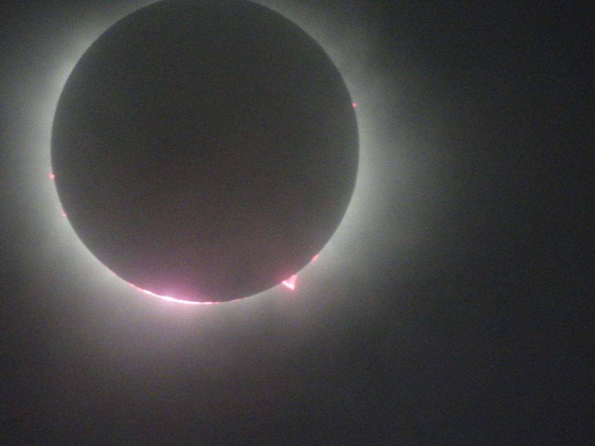 Eggschain tweet media