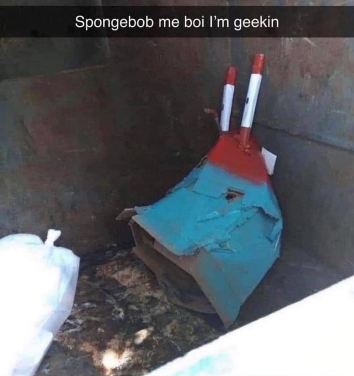 Forbzee_'s tweet image. Roo: Forbzee     🦘🦘