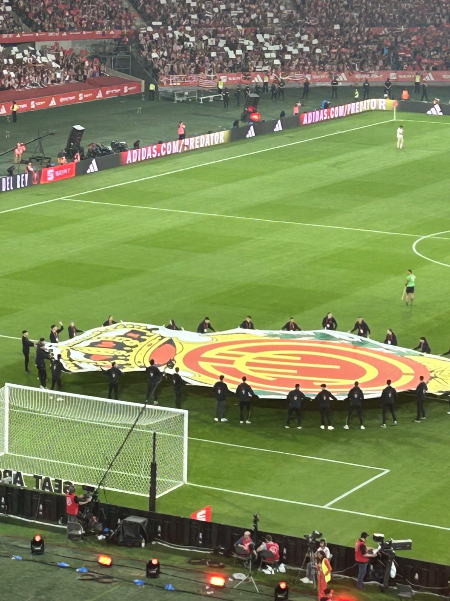 Unim forces en la nostra lluita, amb la bandera mallorquina com a símbol de la nostra identitat i esperit de solidaritat. Cada pas endavant és testimoni de la nostra determinació. Demostrem al món el poder del poble mallorquí. #ForçaMallorca #SenyeraMallorquina #JuntsSomMillors