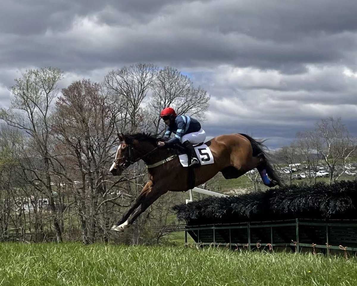 RiverdeeStable's tweet image. It was another successful outing for Riverdee/@bySeanClancy-purchased horses with placers at both Old Dominion &amp;amp; Elkridge-Harford Hunt Point to Point. Results ⬇️

🥈- Jimmy Dan
🥈- Tiz a Giant (pic)
🥈- Be Counted (@byseanclancy purchase at Elkridge-Harford)
🥉- Tuddenham Green