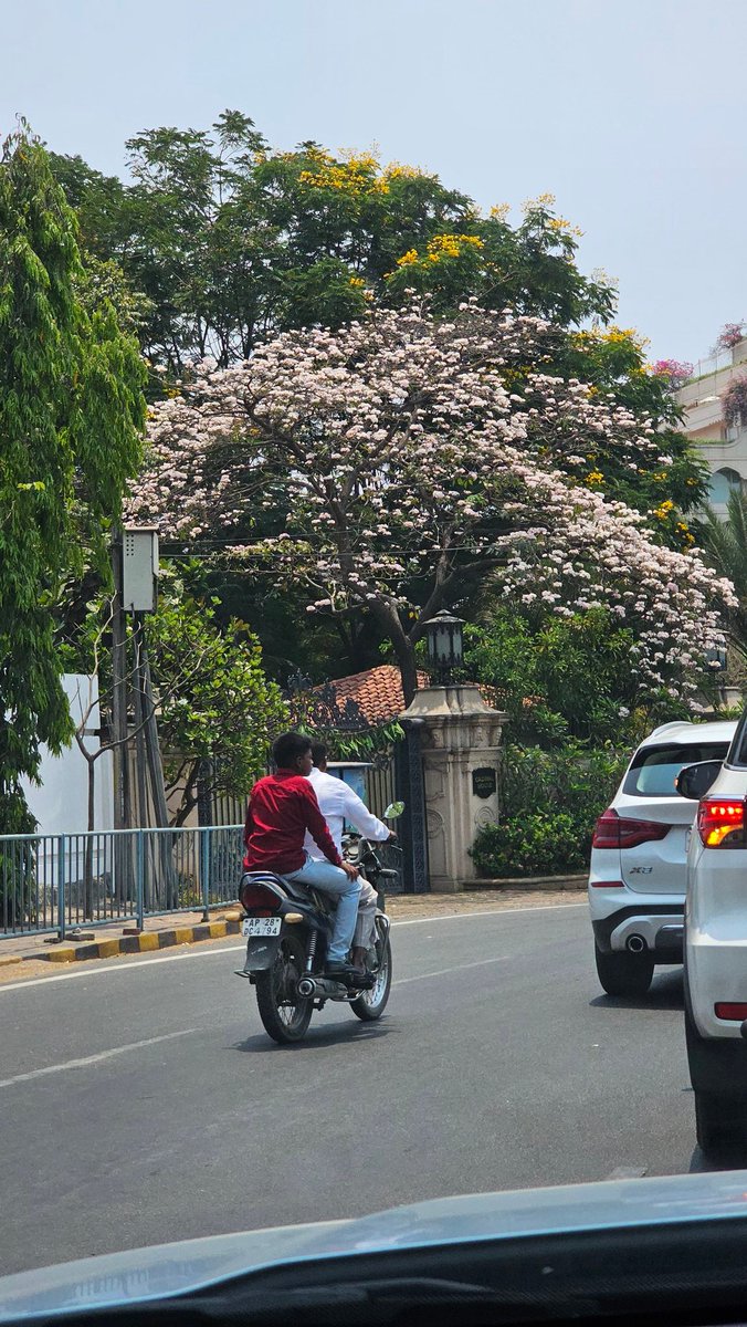 #Ugadiwishes to xple #photohour 
Ugadi Pachadi
Mallige blooms
Spring blooms
Day spent with family..thought of departed ones! Welcomed the Krodhi nama samastasra with owe to keep anger and despair away!