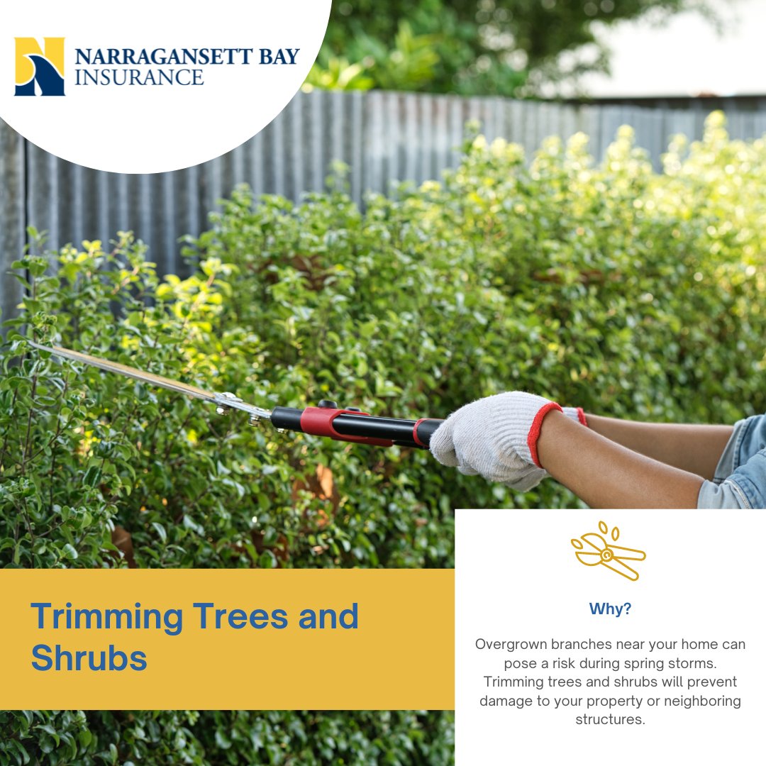 nbicins's tweet photo. Prepare, prune, and protect! 🌳⛈️ Spring is the perfect time to trim trees and shrubs, reducing the risk of storm damage to our homes. Let's trim with purpose and safeguard our spaces against potential risks. 🏡 #NBICHomeTip #SpringMaintenance #ProtectYourHome #Spring https://t.co/hPdTktnN1V