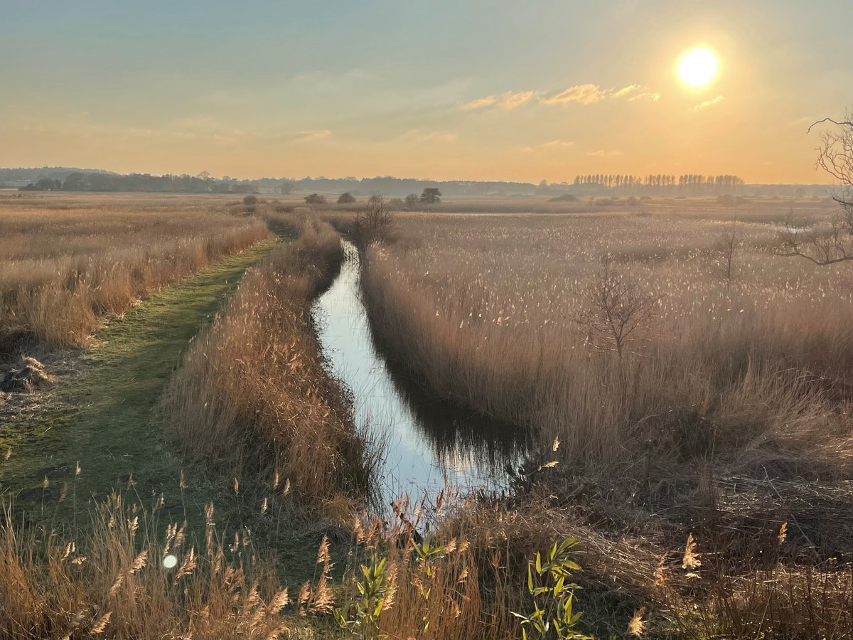 📣DREAM JOB ALERT 📣 🧐We are looking for an innovative Visitor Experience Manager to connect people with nature, drive visits to our reserve and generate vital income for the protection or our incredible nature and wildlife. ✅Sound perfect? Visit RSPB Careers to apply!