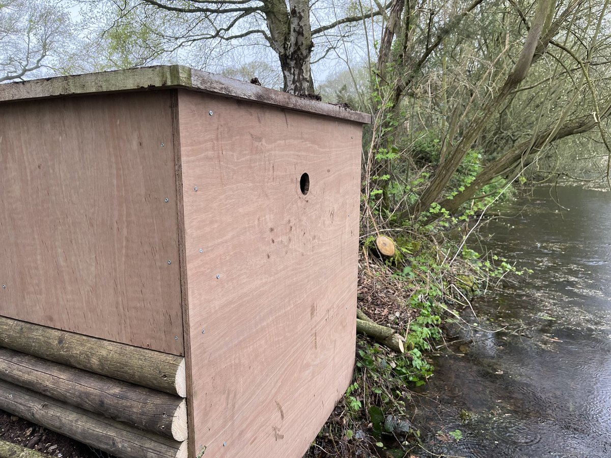 First Kingfisher Bank built with the help of my volunteers! Might be a bit too late for this year but fingers crossed 🤞 will be adding a tuft roof and painting the outside camo 💙🧡