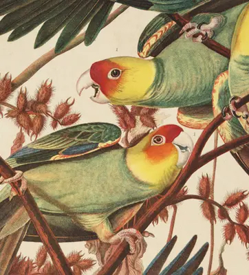 Join us this Sunday, April 14 for family-friendly #art workshops and talks that will explore curiosities behind the birds and trees in the collections #atTheH. 🌳🦜 FREE with general admission. Get tickets here: bit.ly/3PDFPHK