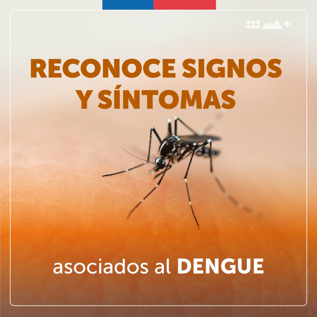 ministeriosalud's tweet photo. ✈️🦟Si fuiste de viaje a lugares o zonas con presencia de dengue u otras enfermedades transmitidas por el zancudo Aedes aegypti, presta atención a los síntomas y signos relacionados a su picadura.

Ante dudas u orientación de un profesional de la salud llama a Salud Responde 📱 600 360 7777