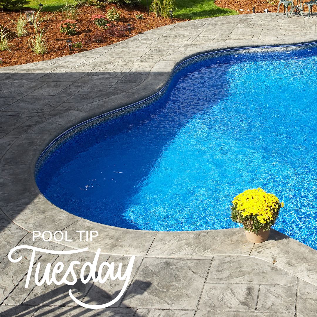 DistinctiveSwim's tweet image. Spring is in full swing, which means it’s time to get ready for #PoolSeason! Start by removing any debris from the surrounding area of your pool. #PoolTipTuesday