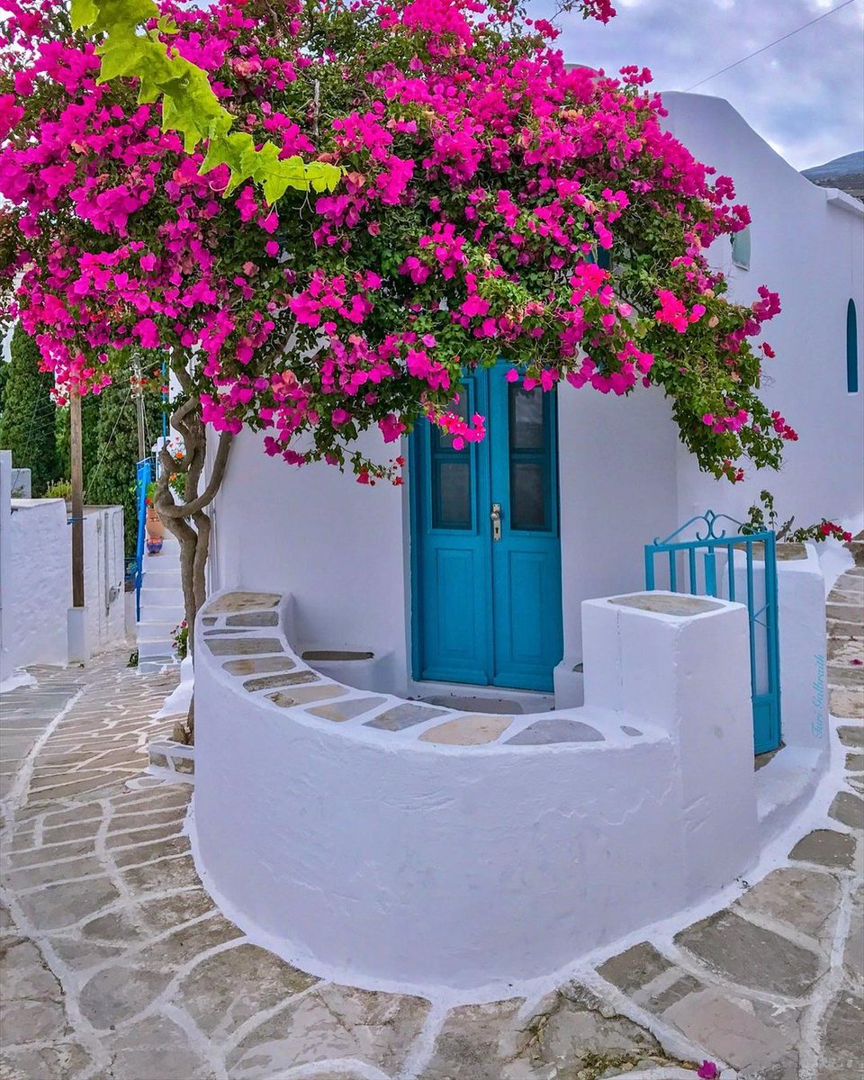 GreekPictures's tweet photo. Against the stark white of Cycladic charm, a door in #Lefkes opens not just to a home but to a world where simplicity meets enchantment. #Paros 🇬🇷
📷 turigaltravels https://t.co/ZxfpCHj3pG