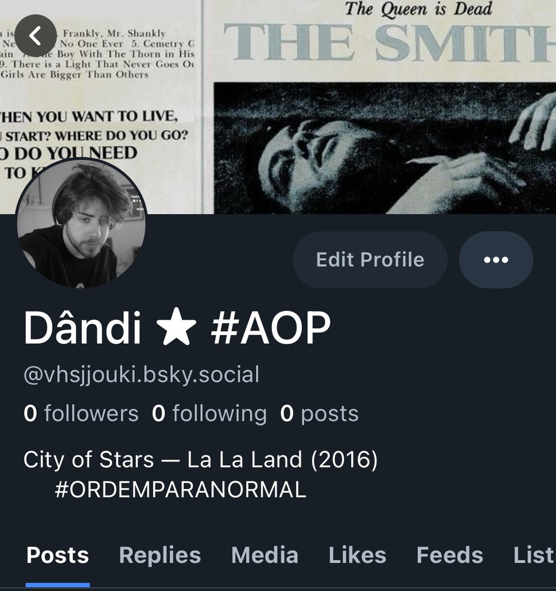 Meu bluesky! Acho que ficarei mais ativo por lá 

Qual o @ de vocês lá??