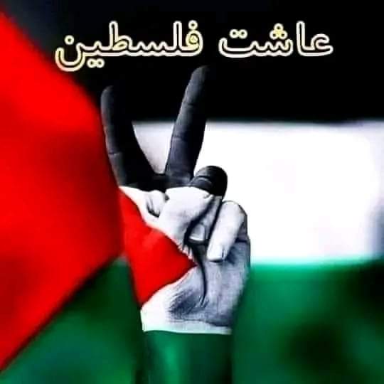 gazadreamer's tweet photo. والله لنا الفخر اننا عشنا في زمان رجال الضيف والسنوار حفظهم الله ارونا العز ف ٧ اكتوبر وشاهدنا الفداء والبئس في ٢٧ رمضان #كمين_الزنه https://t.co/rTWnyz2uWK