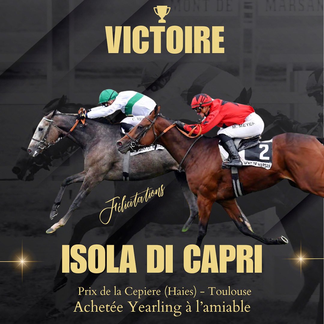 🥇𝗜𝗦𝗢𝗟𝗔 𝗗𝗜 𝗖𝗔𝗣𝗥𝗜 (Morandi) s'impose pour la première fois sur les obstacles sur le parcours de haies de Toulouse. 
Félicitations à son entourage !

👉 Acquise en tant que yearling à l'amiable .