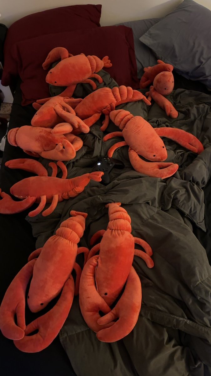 My boyfriend keeps getting the same lobster plush every time he goes to target. He’s not done yet… I come home to more and more lobsters