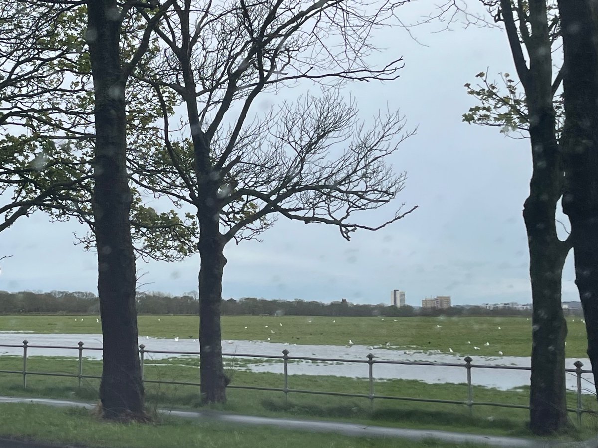 Stay safe folks of Newcastle! Exceptional flooding out there. Duke Moor Garage area by the Town Moor completely blocked and whole area around Moor bad. Never seen so many seagulls on the Moor! @NELiveTraffic (photos taken as passenger not driver!)