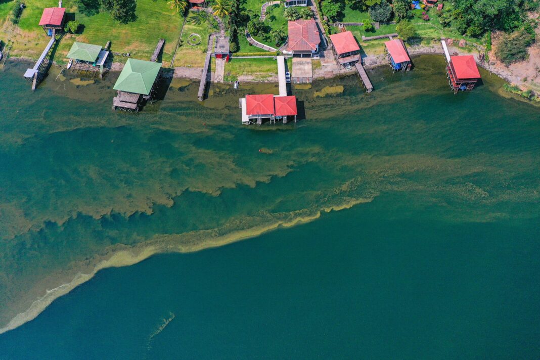 #local ¡Se decreta estado de emergencia ambiental en el lago de Coatepeque, ante la proliferación de cianobacterias!
👇
salvadoreñonoticias.com/2024/04/se-dec…
#MedioAmbiente #LagoDeCoatepeque