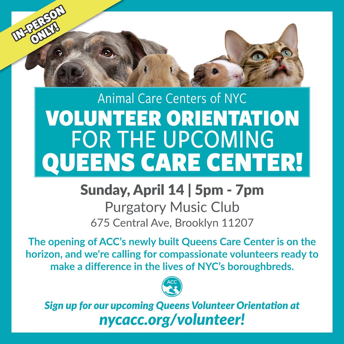 Sign up today for the #nycacc April 14th orientation! In-person attendance only ( no Zoom).