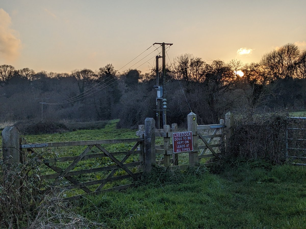 Late evening sun over the footpath through Colman's Withybed in Alverstone 🌇

#alverstone #isleofwight #isleofwightphotography #countryside #nature #sunset #footpath #ukrunning #ukwalking #runningpics #walkingholiday #ukbreaks