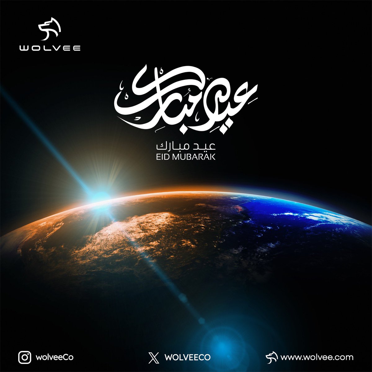 WOLVEE tweet media