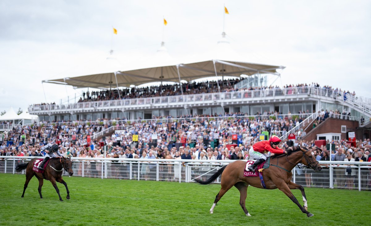 Highfield Viking, a half-brother to the late Highfield Princess, has won for the same connections at Thirsk ❤💛