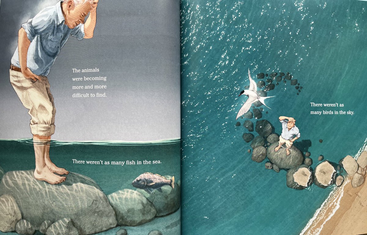 I’m a big fan of #PicturebookBiographies there aren’t however many about British people, it’s lovely when a great one comes along about a Brititish national treasure. “Wild Places” by @Hayley_Rocco and @johnroccoart captures the passion of Sir David Attenborough #PicturebookPage