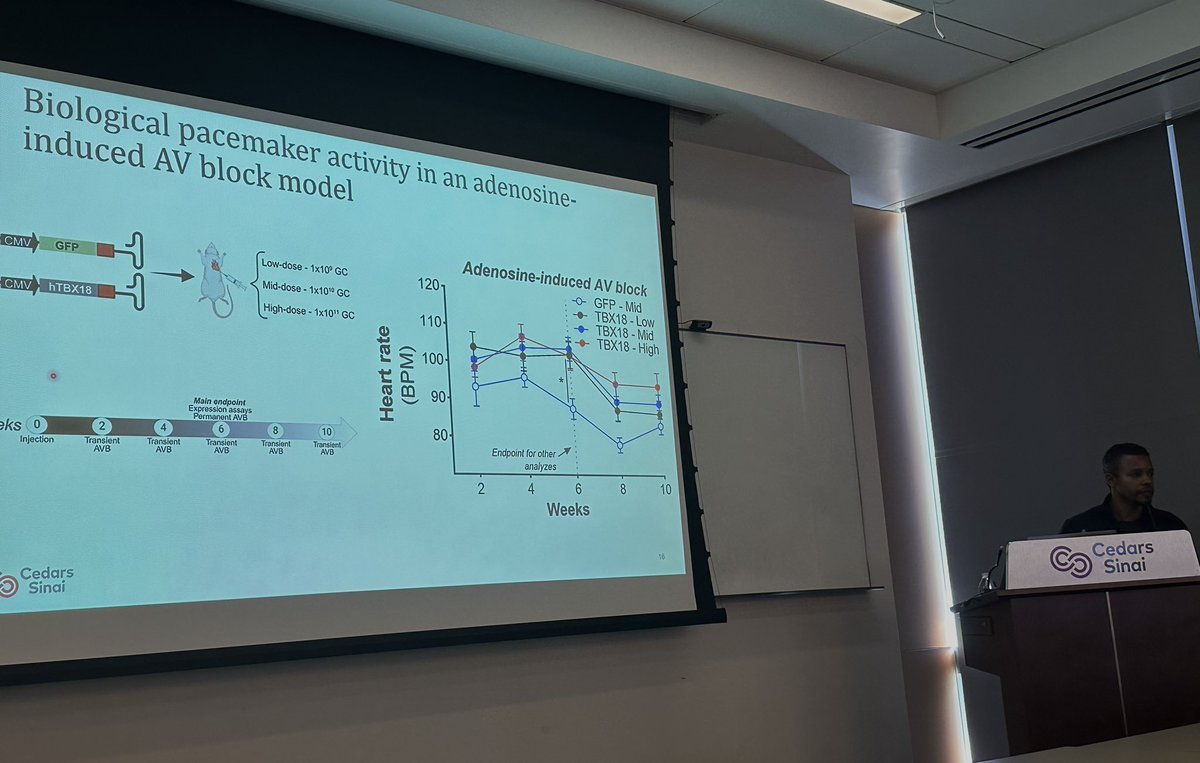 EugenioCingolan's tweet photo. Rodrigo Miguel dos-Santos presenting his progress on #AAV #Tbx18 #SomaticReprogramming @CSRegenMedicine ➡️➡️ #Biopace
#BiologicalPacemacer @SmidtHeart @MarbanLab @CedarsSinaiMed @CedarsSinai @CIRMnews https://t.co/OQ7fQzXby7