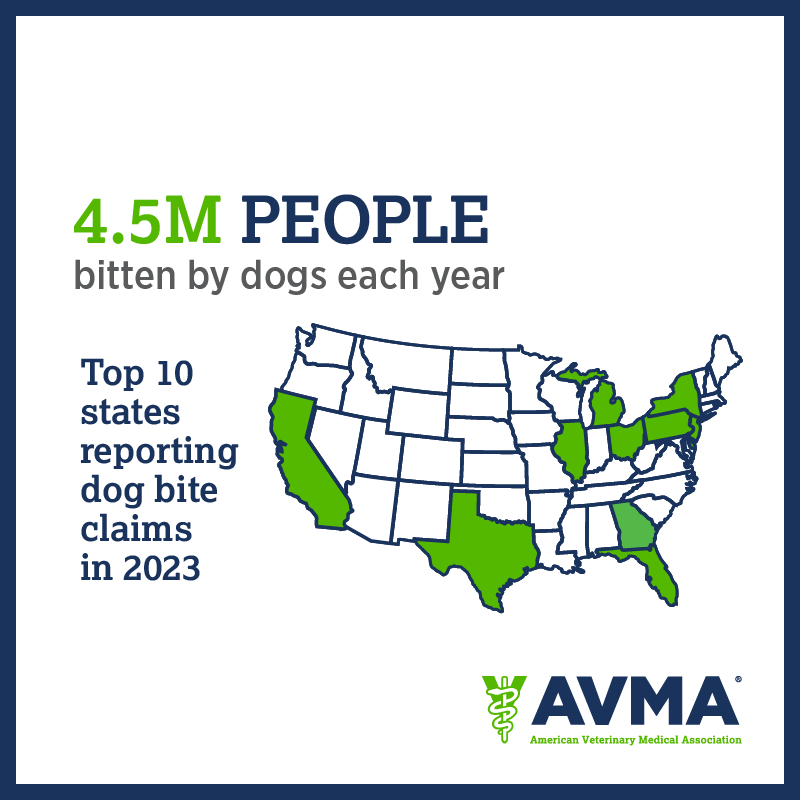 iiiorg's tweet image. This week is #DogBitePreventionWeek. Here are dog bite claims by the numbers. To learn more about #dogbiteprevention: bit.ly/4aA8Ooc @iiiorg @AVMAvets @StateFarm @CDCgov