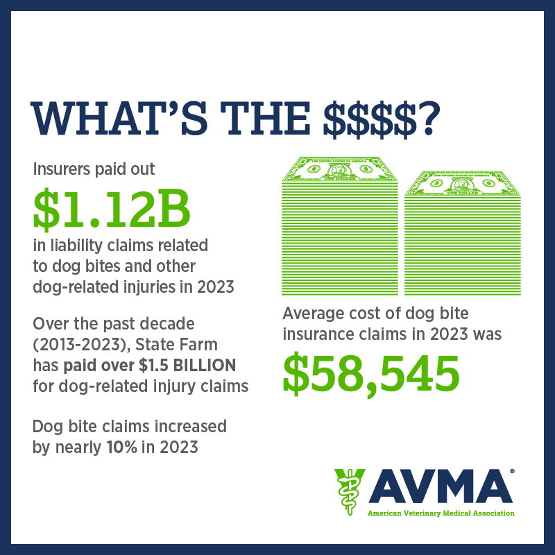 iiiorg's tweet image. This week is #DogBitePreventionWeek. Here are dog bite claims by the numbers. To learn more about #dogbiteprevention: bit.ly/4aA8Ooc @iiiorg @AVMAvets @StateFarm @CDCgov