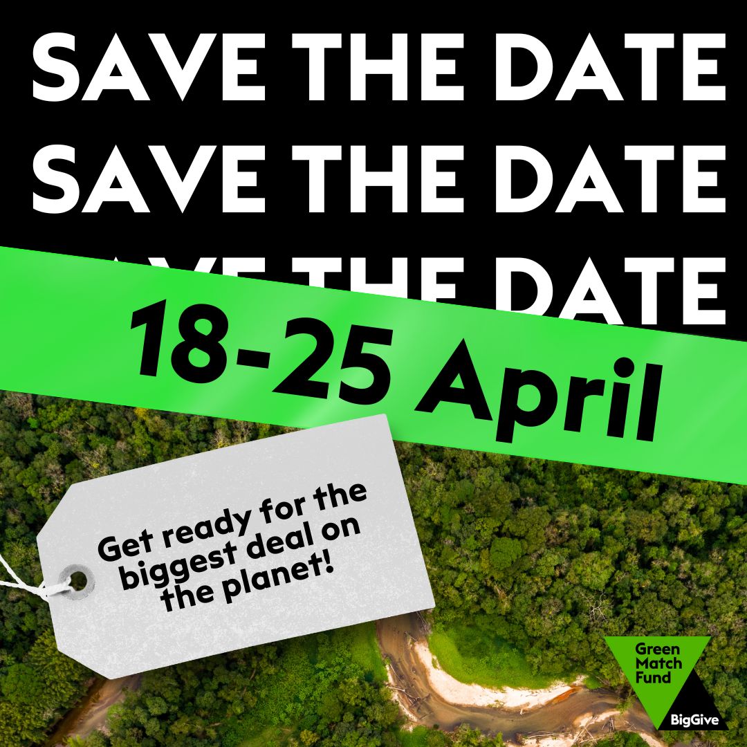 We're taking part in the BigGive's Green Match Fund in aid of resilient forests and livelihoods in Madagascar. The campaign is open for ONE WEEK between the 18th--25th of April. Check out more information on our website and register your pledge! buff.ly/3PV40Sg