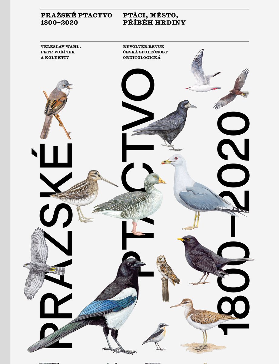 3 #BOU2024 #BREAK1 That could happen in 2023, when we published a new book. Thanks to V. Wahl we could compare birds & habitats in Prague in 1930/1940s and 2010/2020s. We also provide access to forgotten findings by V. Wahl and his tragic life story.