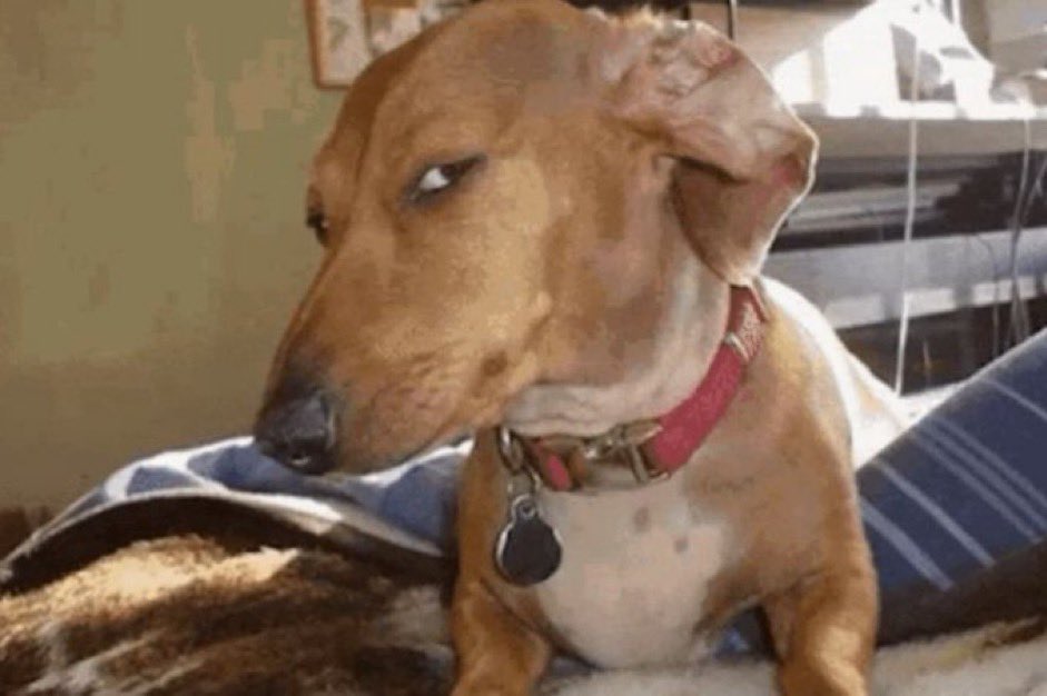 _mamadou077's tweet image. Quelqu’un d’autre est minable mais pas toi riri …