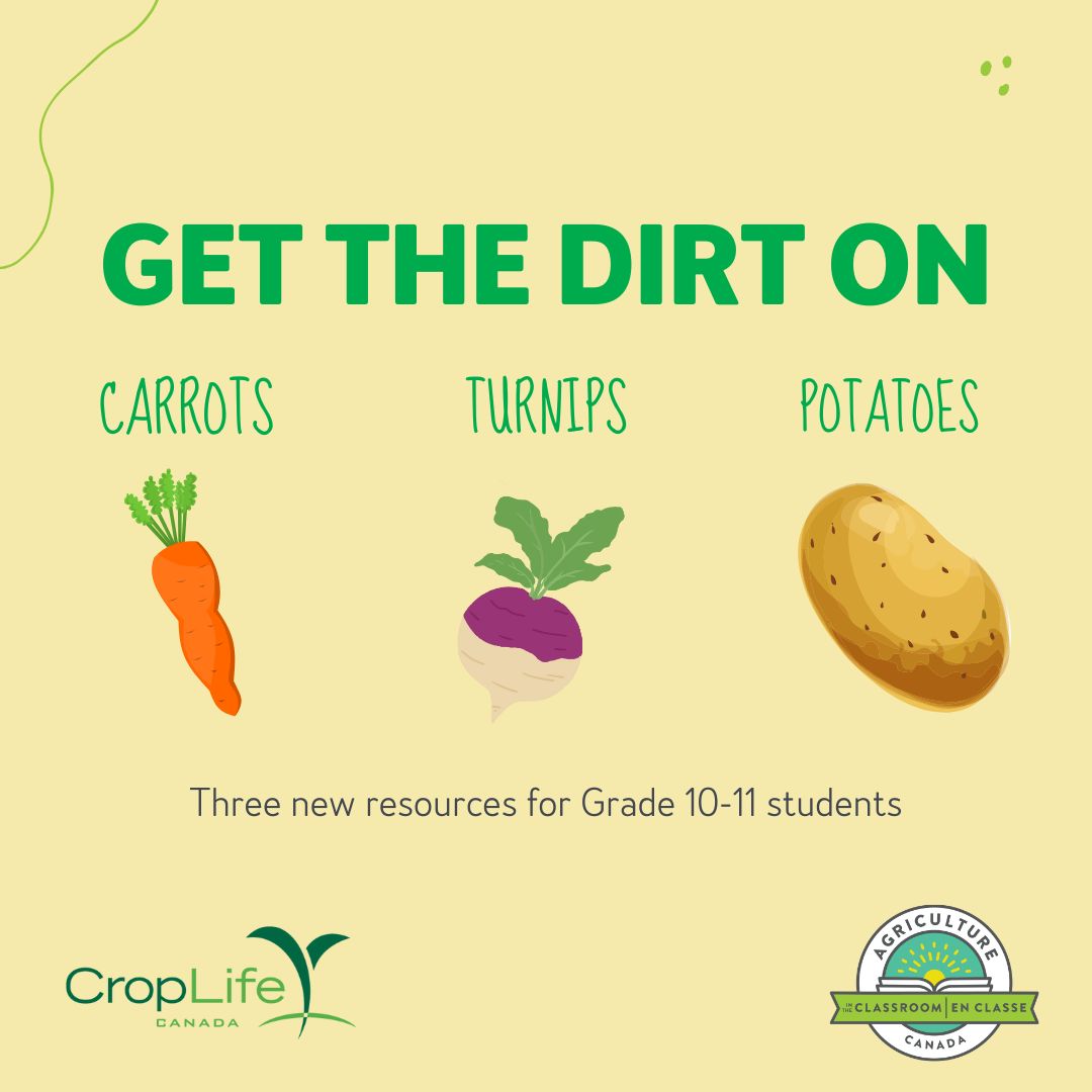 AITC-C has partnered with @CropLifeCanada to develop three new curriculum-based resources for Grades 10 and 11 students! Dive into the world of agriculture with interactive lessons on how carrots, turnips and potatoes are grown. These engaging resources, inspired by…