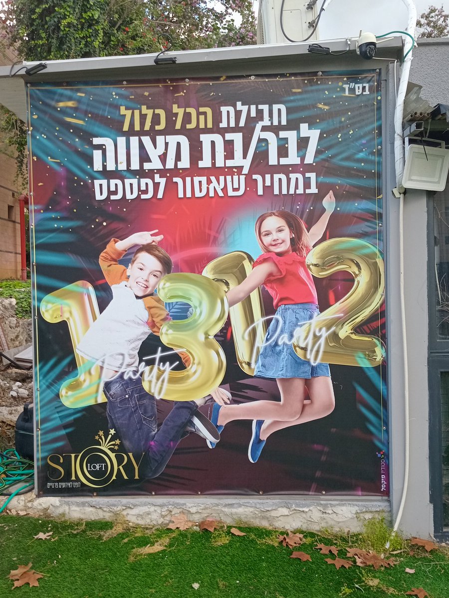 בארי יהודה tweet media