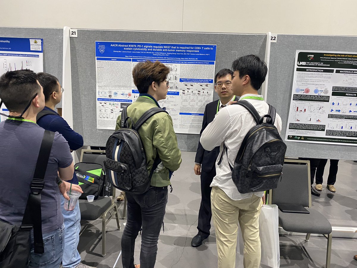 Yi Lin (@yilinmdphd) on Twitter photo What is key PD-1 signaling regulation to improve cytotoxic and memory T cell function? Ask <a href="/Zhiming_Mao/">Zhiming Mao</a> at poster today eppro01.ativ.me/appinfo.php?pa… #AACR24 <a href="/hd_DongMDPhD/">Haidong Dong</a> <a href="/MayoCancerCare/">Mayo Clinic Comprehensive Cancer Center</a> What is key PD-1 signaling regulation to improve cytotoxic and memory T cell function? Ask <a href="/Zhiming_Mao/">Zhiming Mao</a> at poster today eppro01.ativ.me/appinfo.php?pa… #AACR24 <a href="/hd_DongMDPhD/">Haidong Dong</a> <a href="/MayoCancerCare/">Mayo Clinic Comprehensive Cancer Center</a>