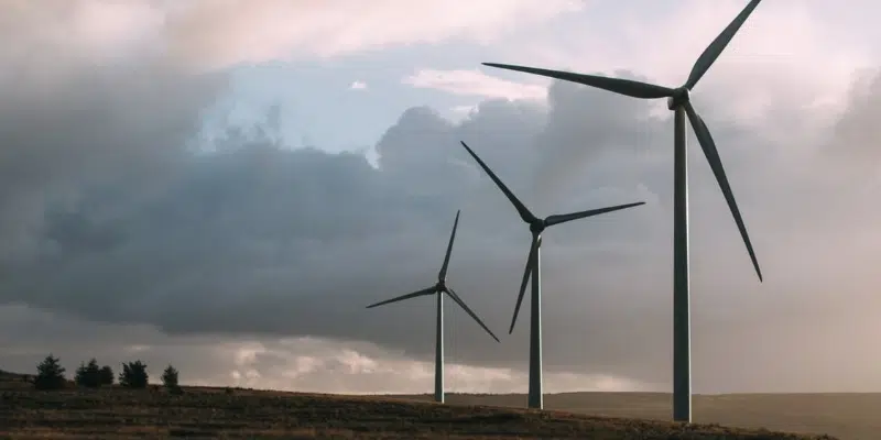 VOCMNEWS's tweet photo. World Energy GH2’s West Coast Wind Project Gets Green Light
https://t.co/NIoHbX7nv2 https://t.co/GZ66Ms5bWl