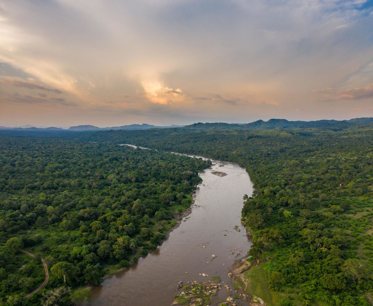 AfricanParks's tweet image. The restoration of Majete Wildlife Reserve and the reversing of biodiversity loss through the public-private-partnership model, took centre stage at this year’s @UNDP Africa Regional Dialogue for Biodiversity Finance in Malawi. Read via @NationOnlineMW bit.ly/3Ud0s0l