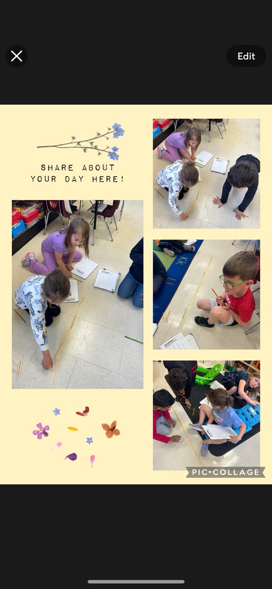 Measuring with sticks and collecting data.