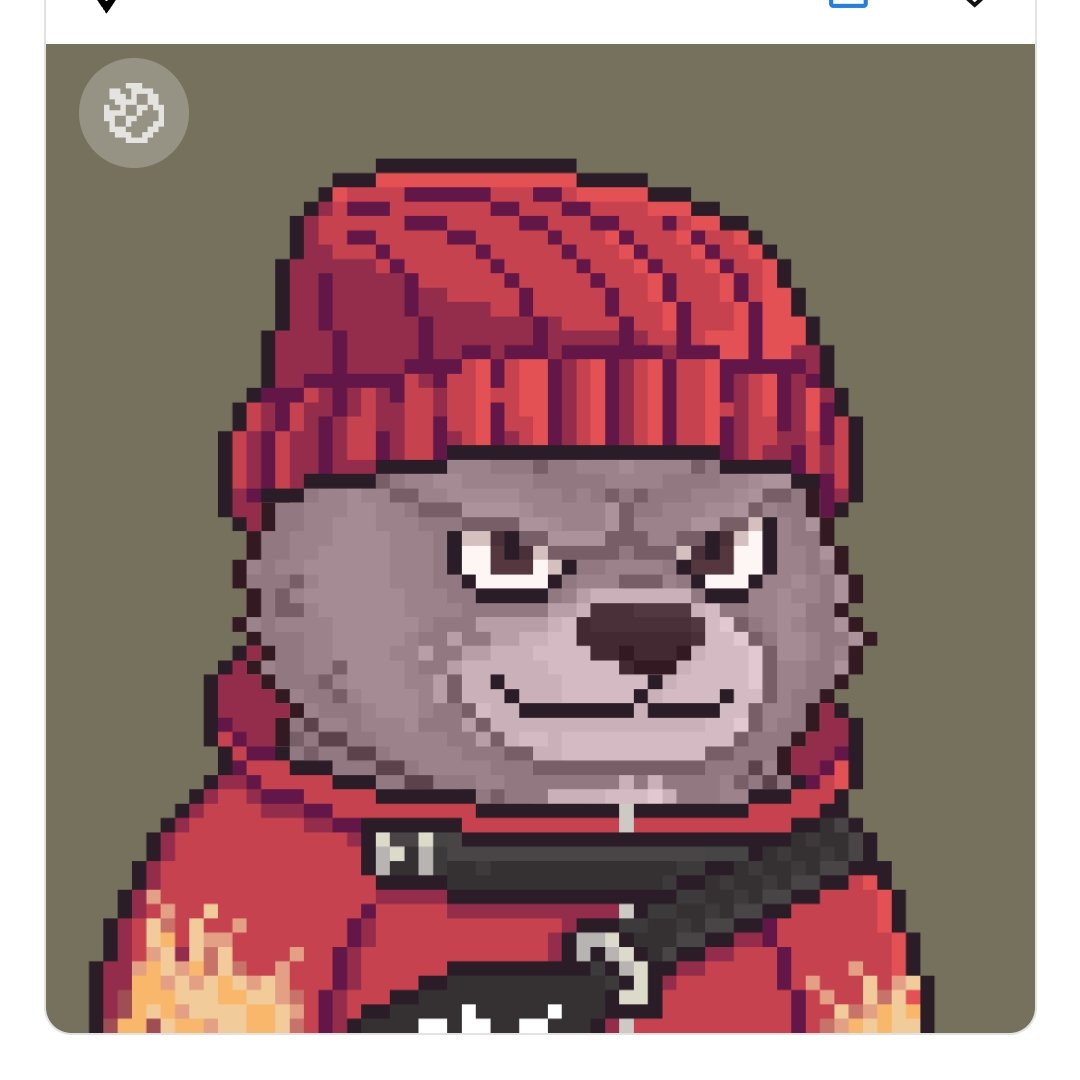 Born to win 🏆 tweet media