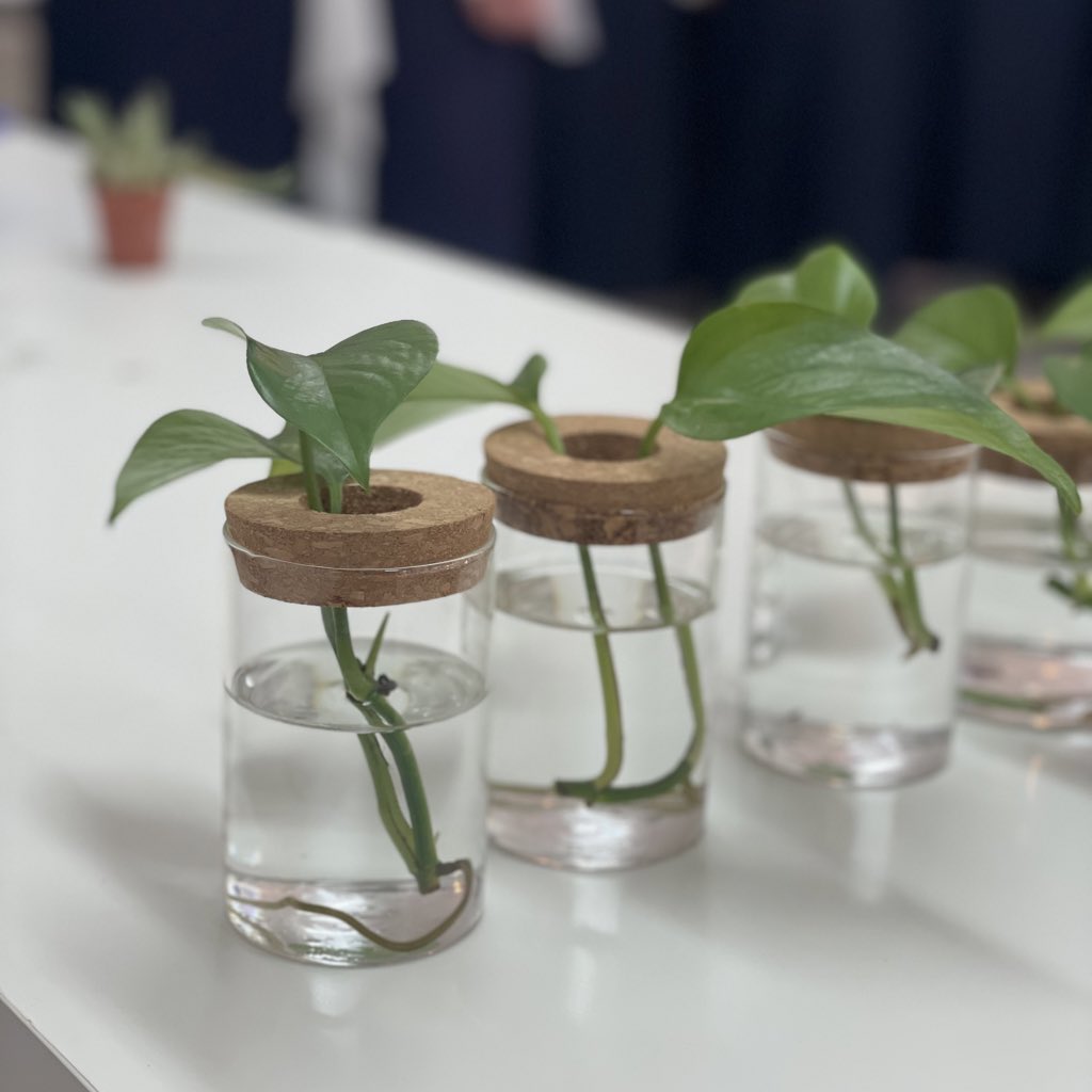 SWAE_GROUP tweet media