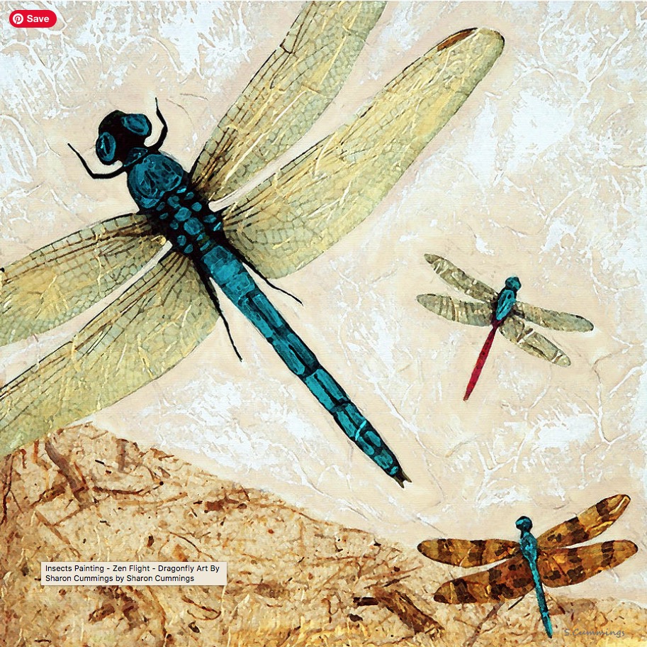 Zen Flight HERE:  fineartamerica.com/featured/zen-f… #dragonfly #dragonflies #bugs #insect #insects #art #artwork #zen #yoga #yogadaily #yogalove #nature #meditation #healing #HealingJourney #homedecor #buyINTOART #FillThatEmptyWall