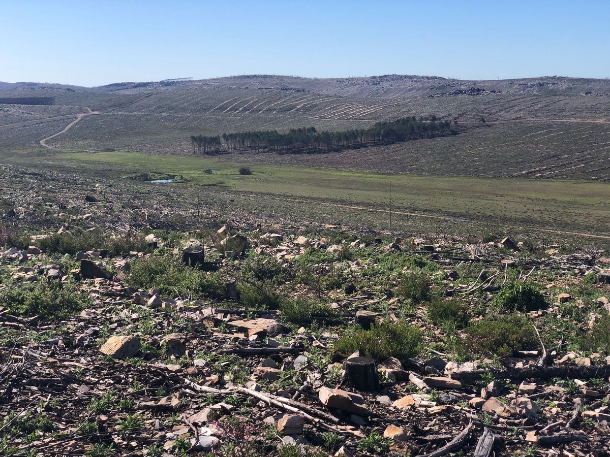 Naturaleza Castilla y León tweet media